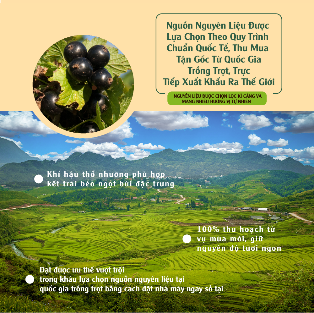 [Chính hãng] Nho Đen 454g Dan D Pak