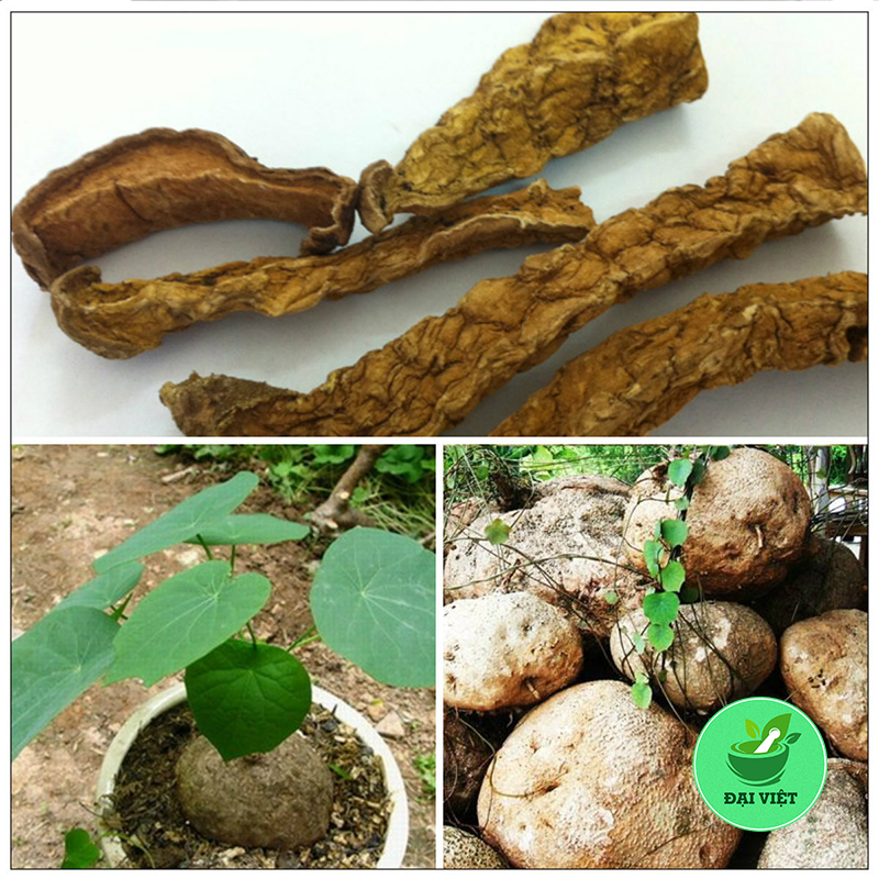 Củ bình vôi khô thái lát (1kg) - DV163