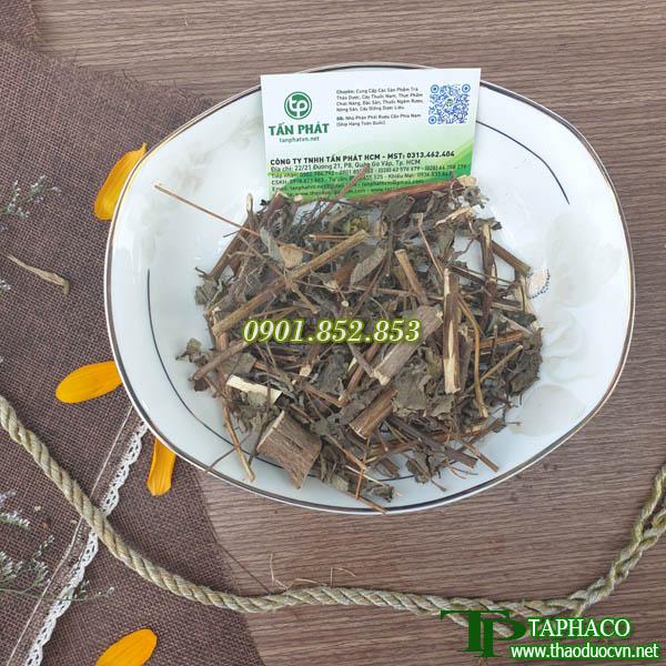 Hương nhu cao cấp loại sấy khô túi lớn 500g - Trà thảo mộc thơm ngon hỗ trợ cải thiện sức khỏe