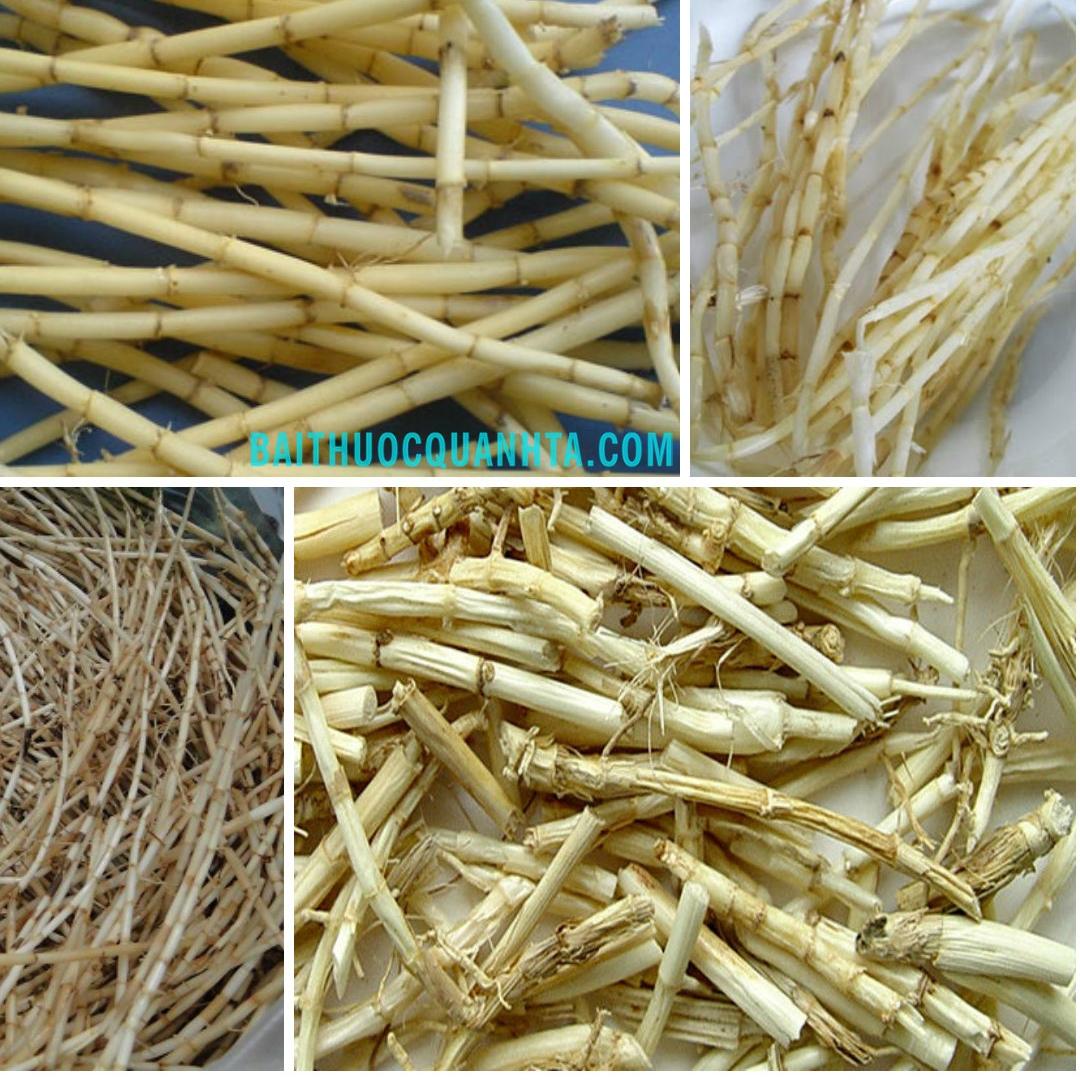 1kg rễ cỏ tranh