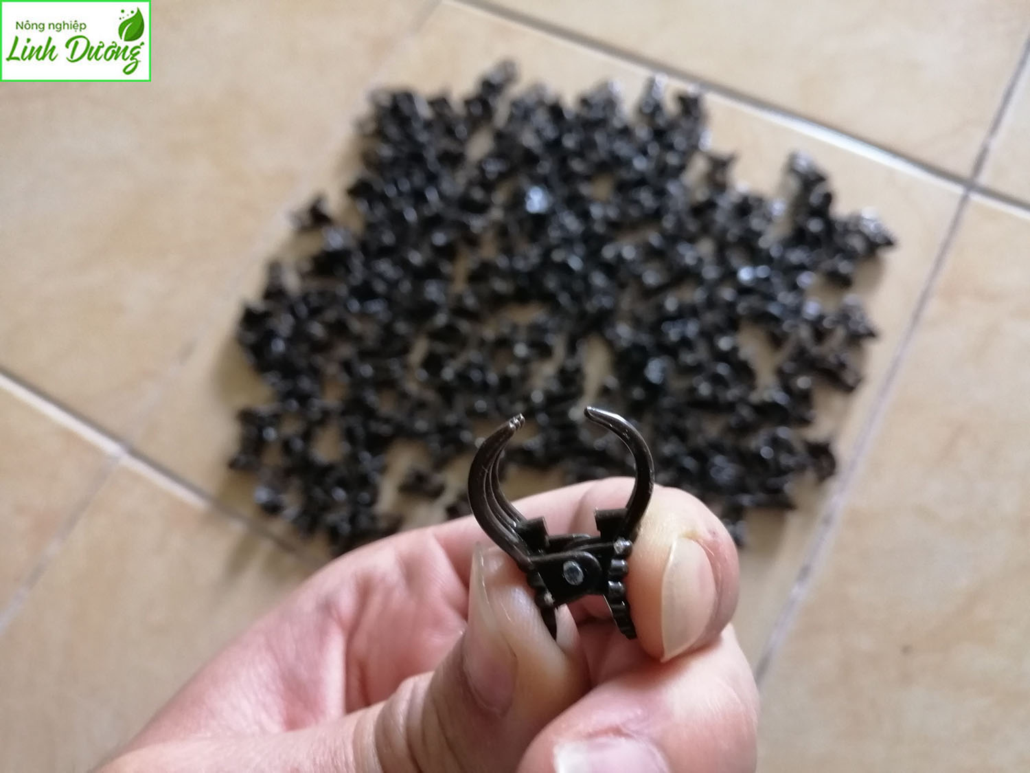 Combo 50 kẹp buớm nhỏ 1cm, 1.5cm cố đinh lan