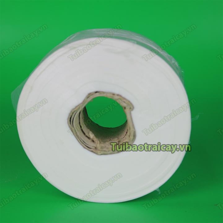 Băng ghép cây tự hủy khổ 5cm