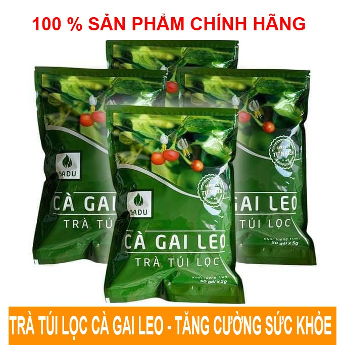 [HCM]Trà Cà Gai Leo SADU (1 KG) 200 Túi lọc (mát gan giải độc)