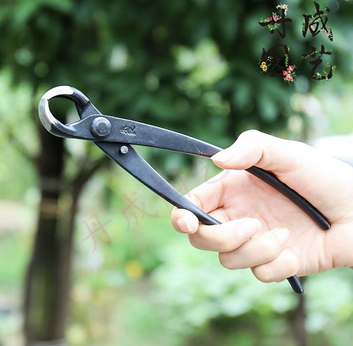 [Chính hãng] Cạp Tròn, Cạp Xéo Cây Cảnh Bonsai Sắc Bén - Thép Nguyên Khối Siêu Chắc Bền - Cty MSTWA