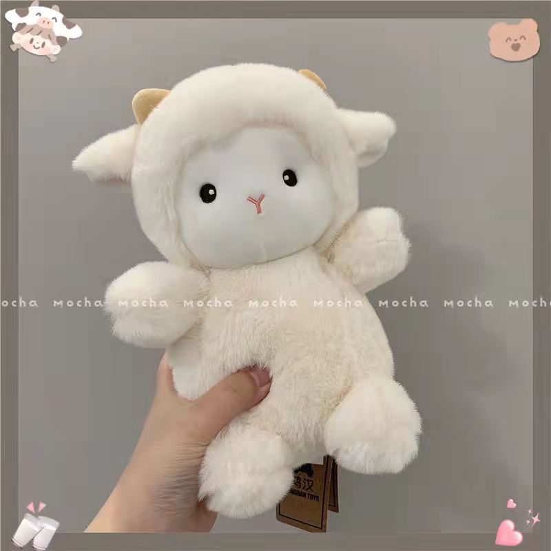 Cừu trắng lông xù cao cấp