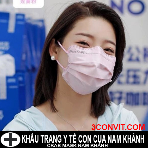 Túi Zip tiện dụng 10 chiếc khẩu trang cao cấp con cua 4 lớp Nam Khánh