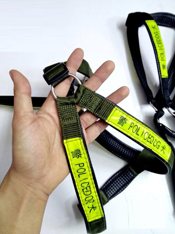 Xích chó Dây dắt cho chó kèm yếm bản 3cm