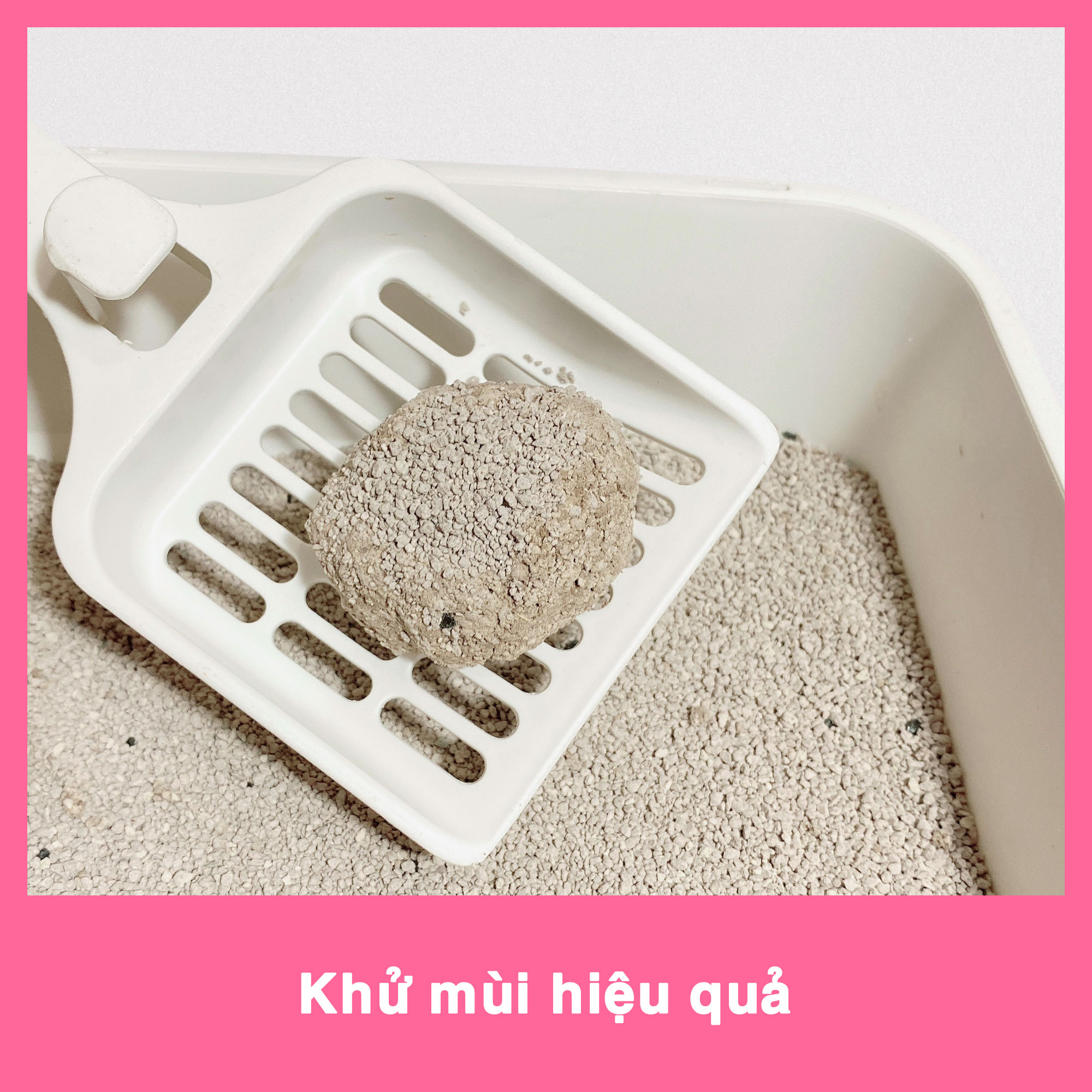 Combo 5 bao cát vệ sinh cho mèo Friday Cat