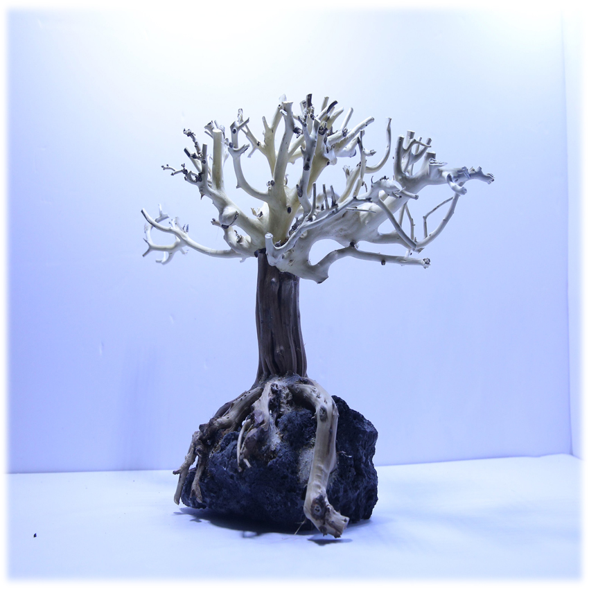 Lũa bonsai dành cho hồ cá cảnh hồ thủy sinh-KT30*17*23-Metep