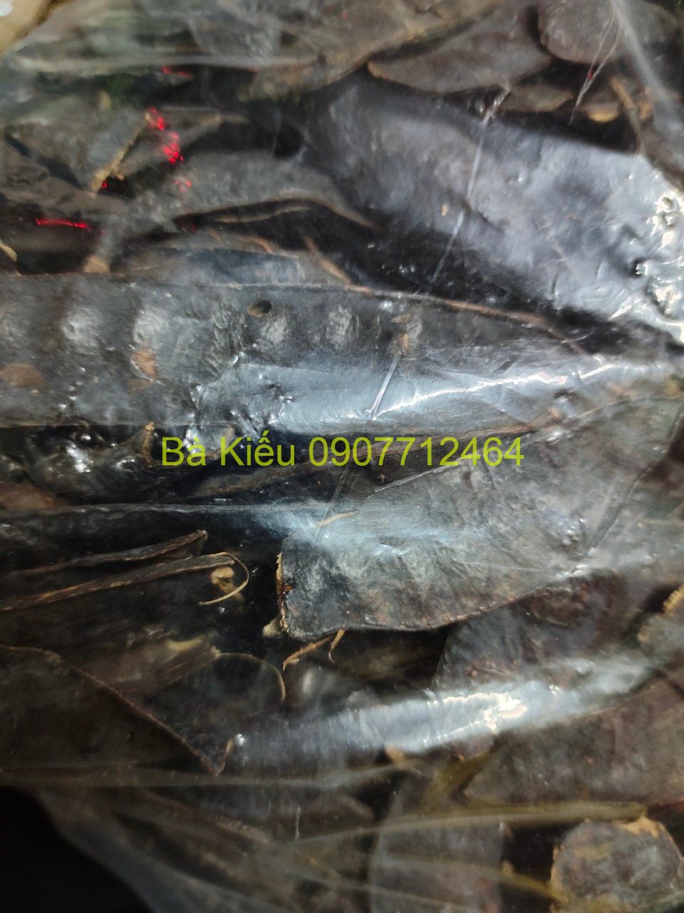 10 trái bồ kết khô