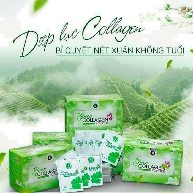 Diệp Lục Collagen – Green Family Development.