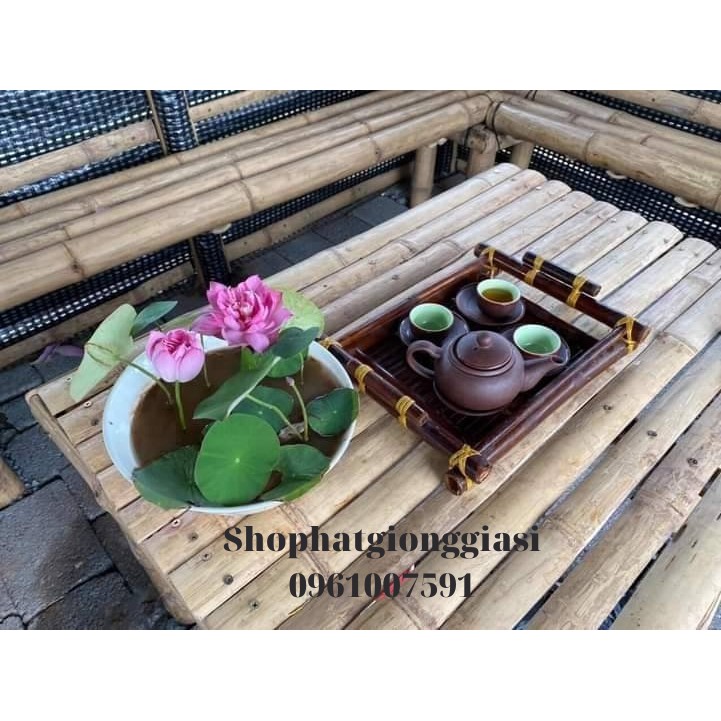 Bùn Khô Trồng Sen Mini Gói 500 Gram