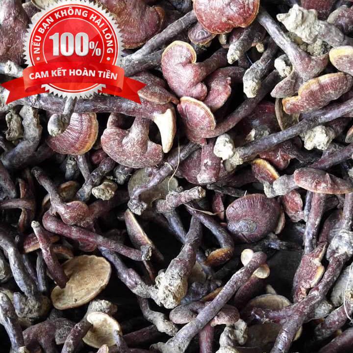 [HCM]Nấm linh xanh - Nấm linh chi - CAO CẤP(Trồng tự nhiên ở núi tây bắc)