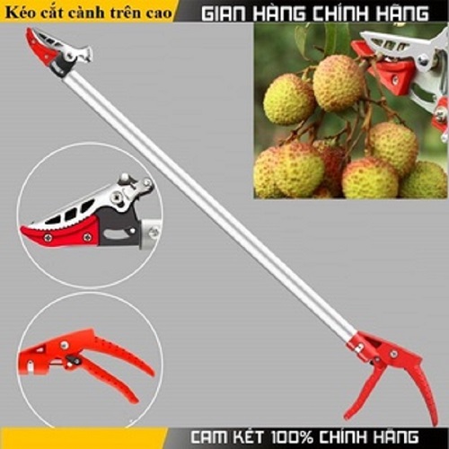 Kéo Cắt Tỉa Cành,Kéo Hái Hoa Quả Trên Cao - Có Chức Năng Giữ,Kẹp Ko Để Quả Rơi Xuống Như Những Loại Kéo Thông Thường