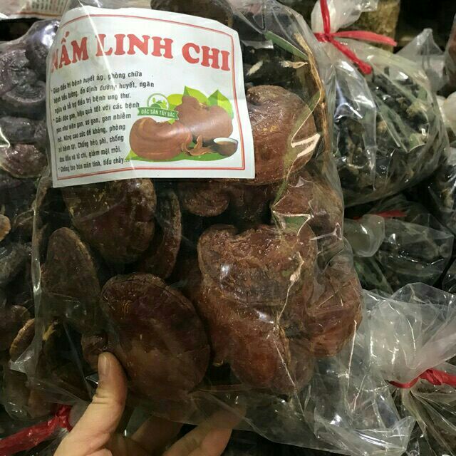 1kg nấm linh chi đỏ