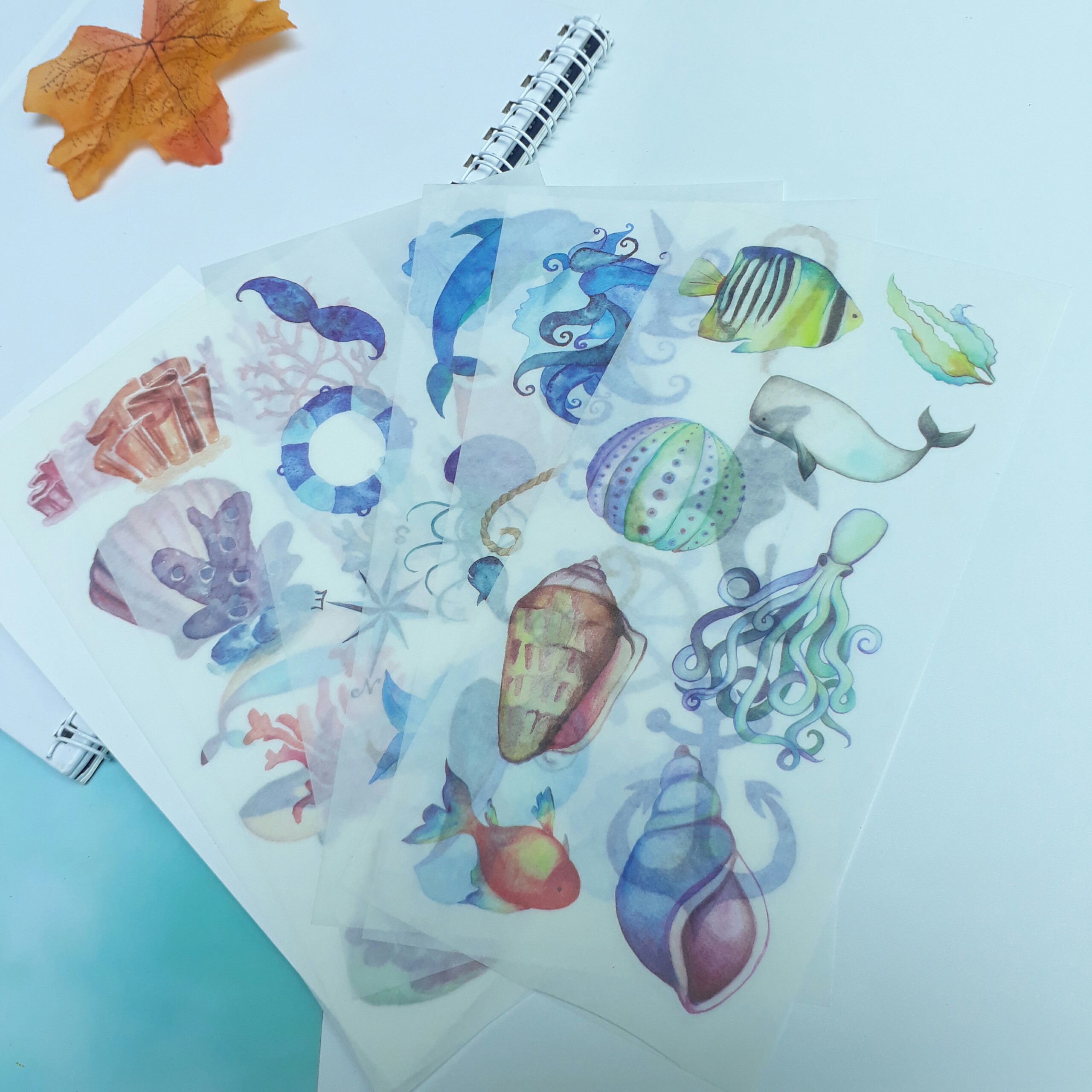 [HCM]Bộ 6 Tấm Sticker Sinh Vật Biển