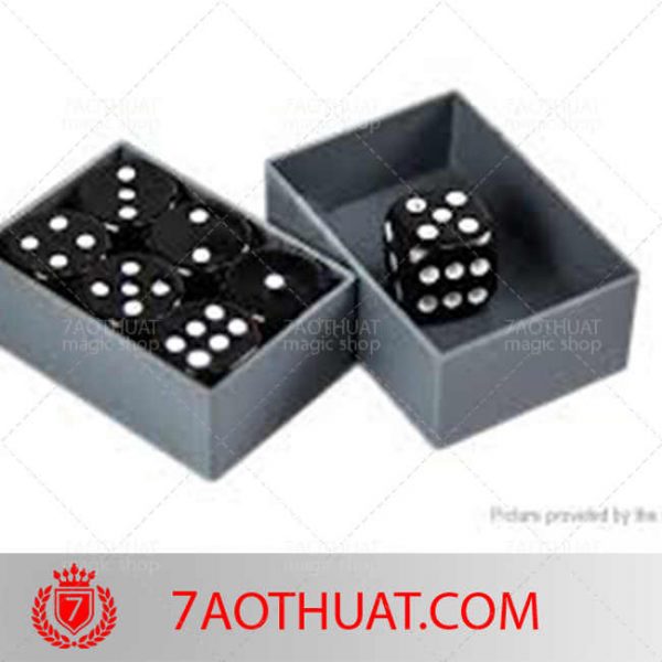 [HCM]Đạo cụ ảo thuật cận cảnh : Miracle dice