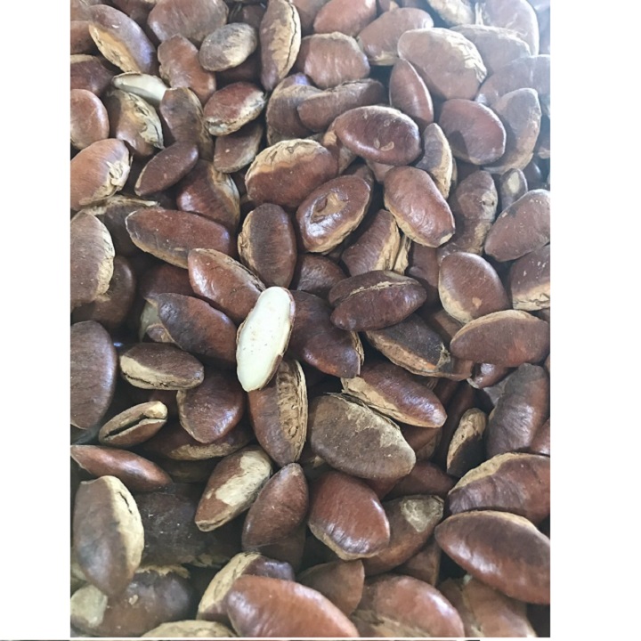 [HCM]500G HẠT KƠ NIA