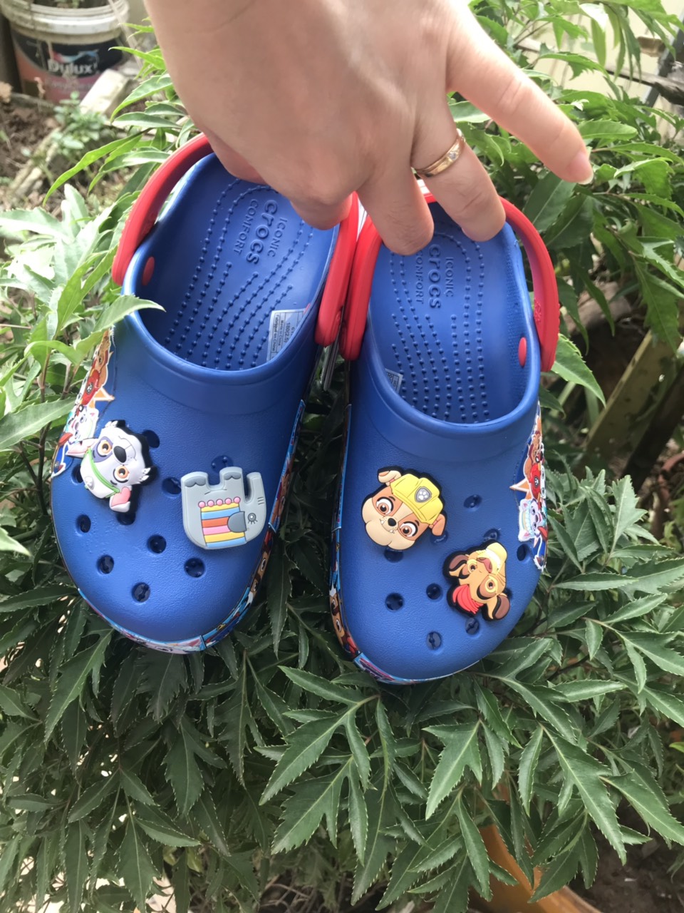 SỤC TRẺ EM CROCS- IN HÌNH 3D CHÓ CỨU HỘ