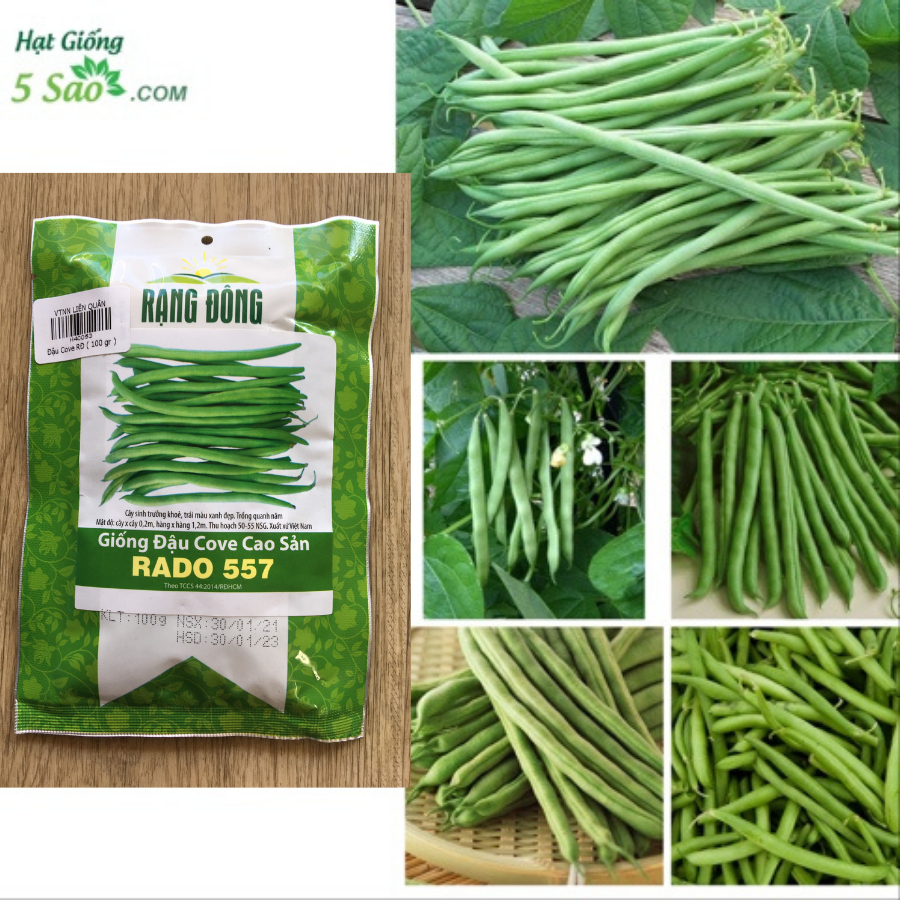 Hạt giống đậu cove cao sản rado 557 rạng đông gói 20gram