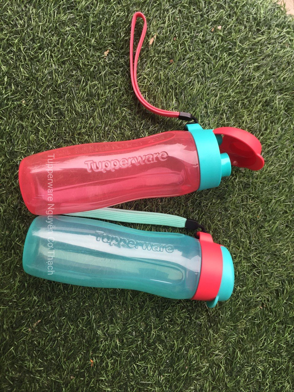 Bình Nước Eco Bottle Gen II 500ml- tupperware