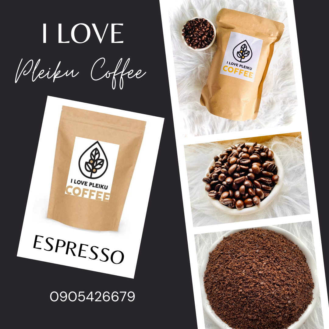 Cà phê hạt Robusta rang mộc nguyên chất
