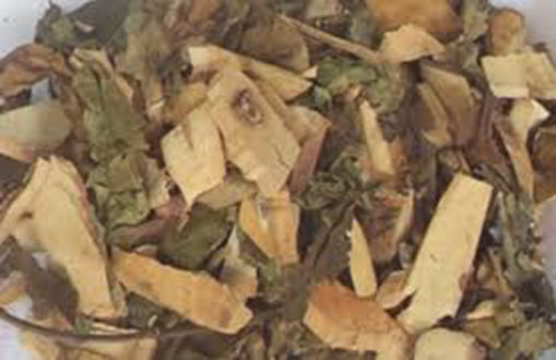CÂY XẠ ĐEN KHÔ GIÚP TIÊU ĐỘC, PHÒNG UNG THƯ 1KG