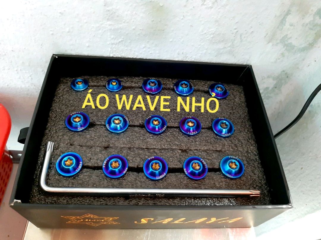 Ốc áo wave nhỏ