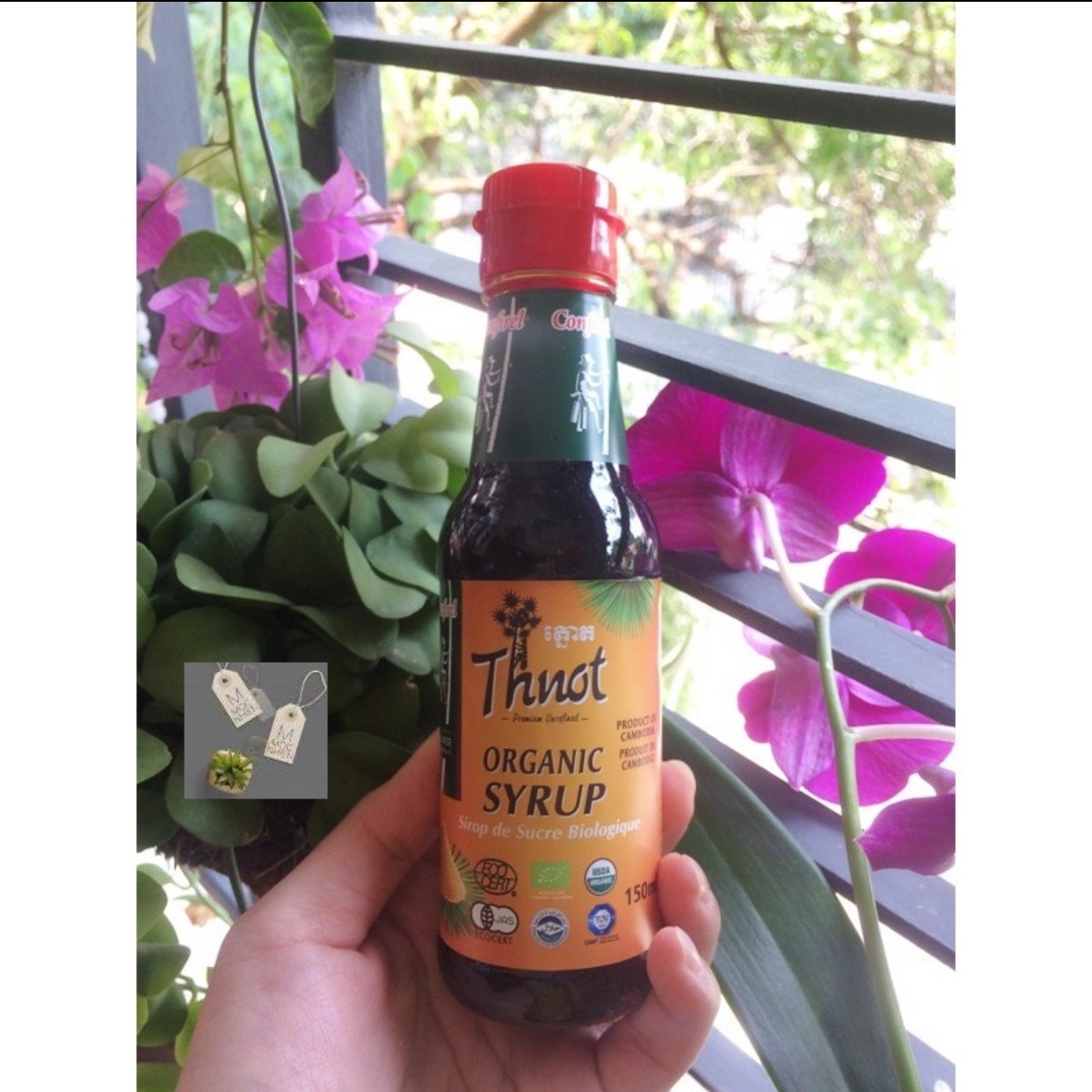 Syrup thốt nốt hữu cơ- mật thốt nốt