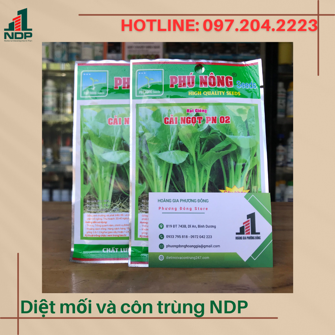 Hạt giống cải ngọt - gói 20g, gói 50g