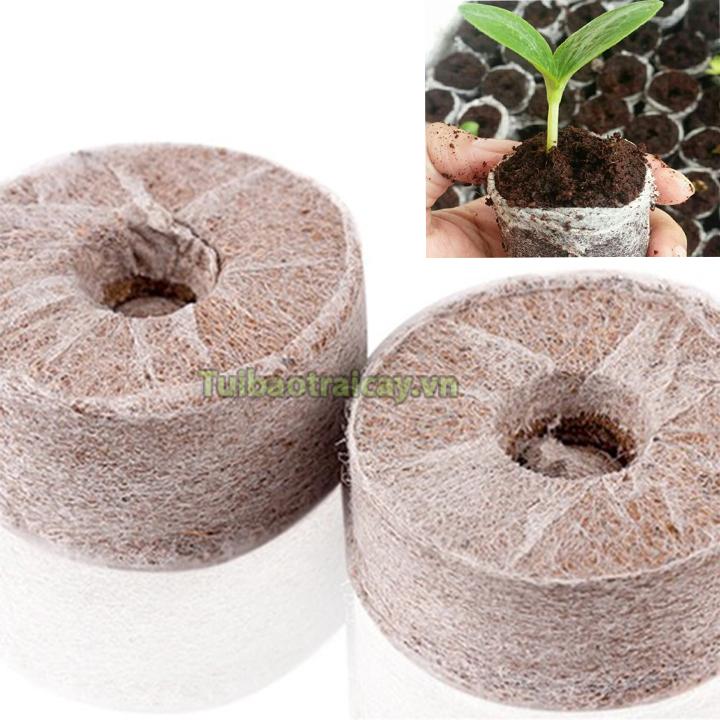 20 viên nén xơ dừa ươm hạt