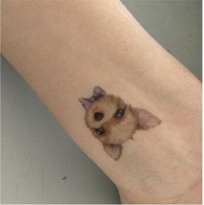 Hình dán chó cún nâu poodle c03