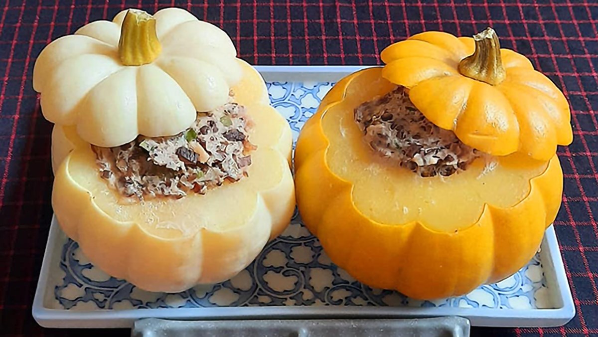 Hạt Giống Bí Đỏ ( Bí Ngô )