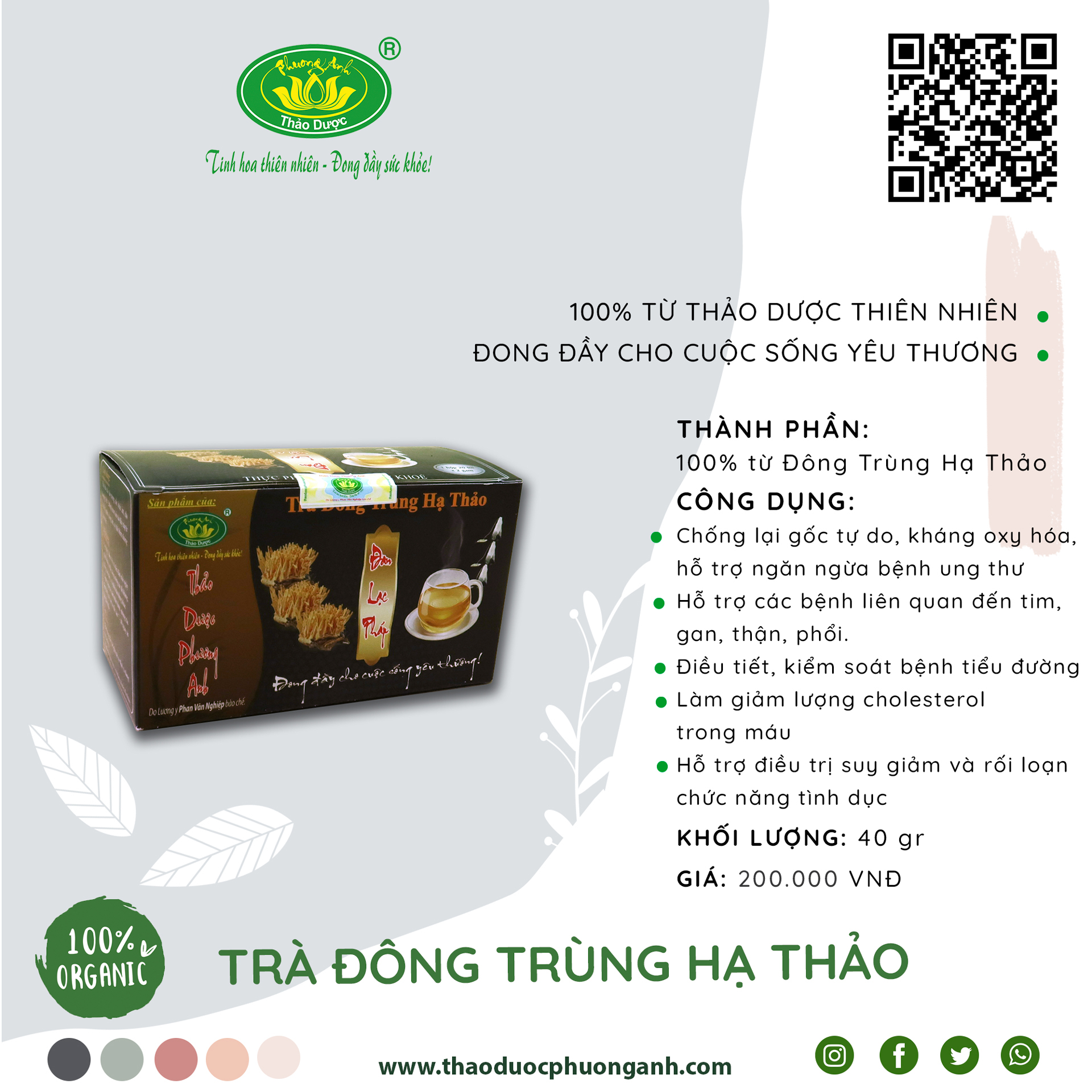 Trà Đông Trùng Hạ Thảo Túi Lọc (Hộp 20 túi lọc)
