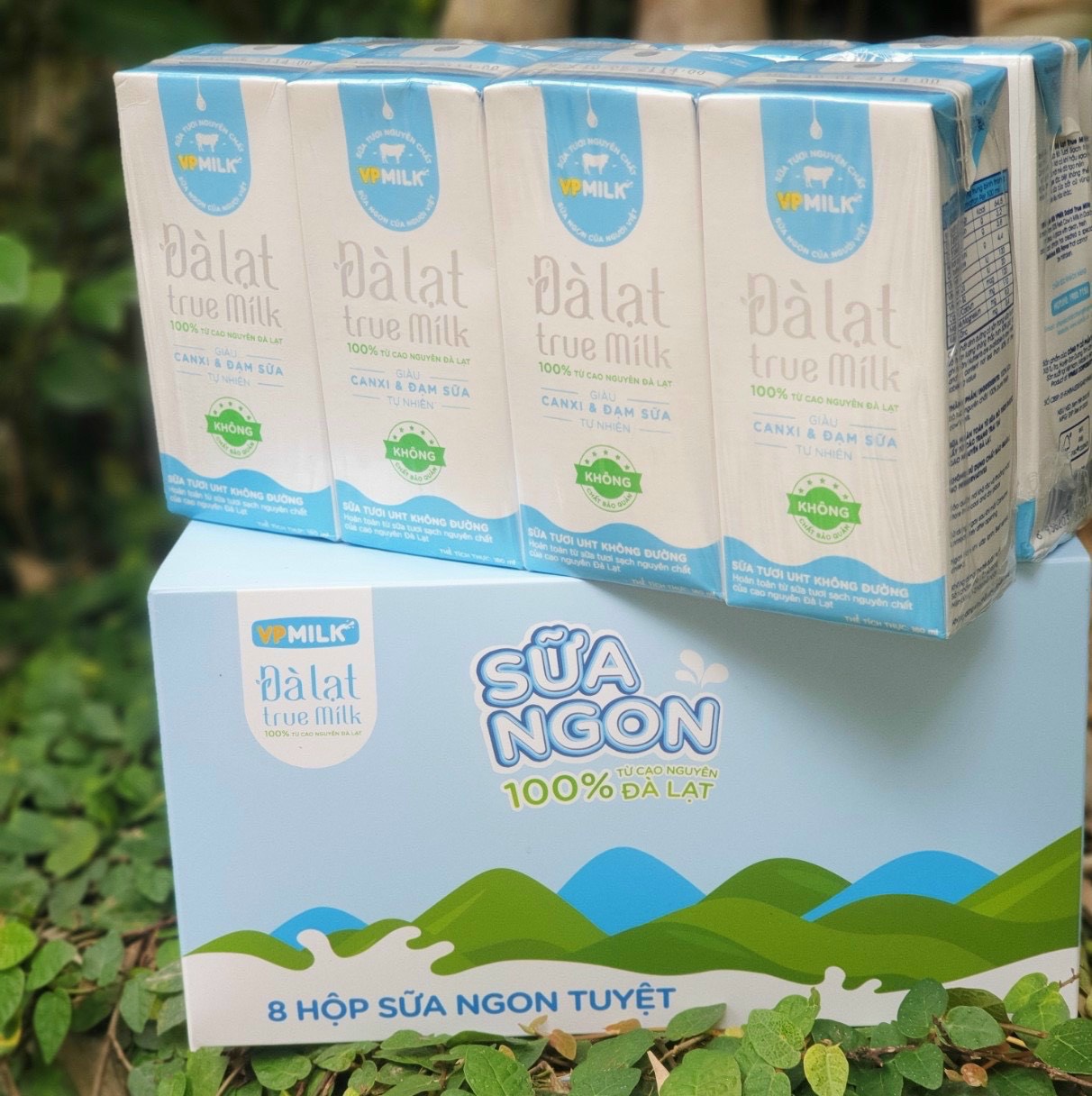 [HCM]SỮA TIỆT TRÙNG KO ĐƯỜNG ĐÀ LẠT TRUE MILK 180ML / THÙNG (12 LỐC)