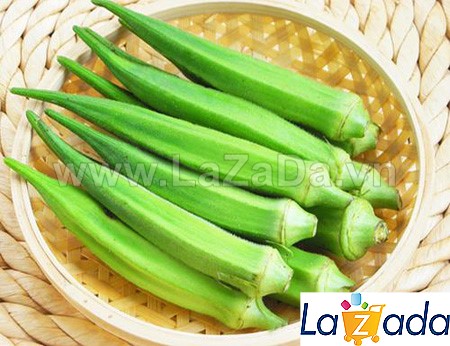 1kg hạt giống đậu bắp xanh