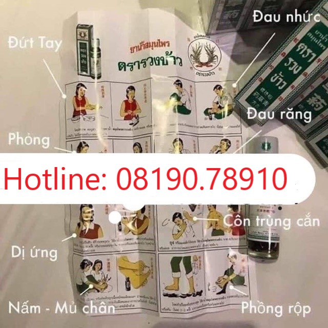 🌸🌱☘️ DẦU BÔNG LÚA MINYAK 24ML THÁI LAN 🌸🌱☘️