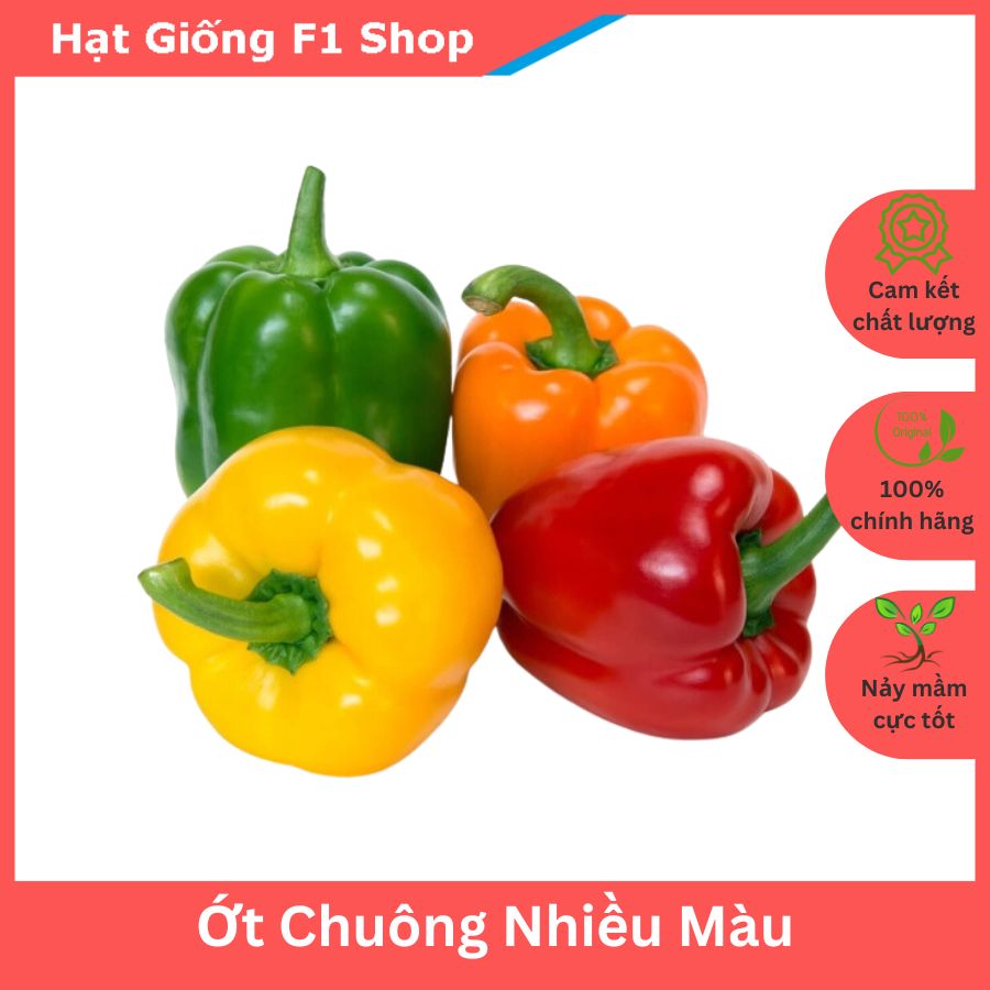 Hạt Giống Ớt Chuông Nhiều Màu Mix Dễ Trồng - Gói 40 Hạt (121.F1)