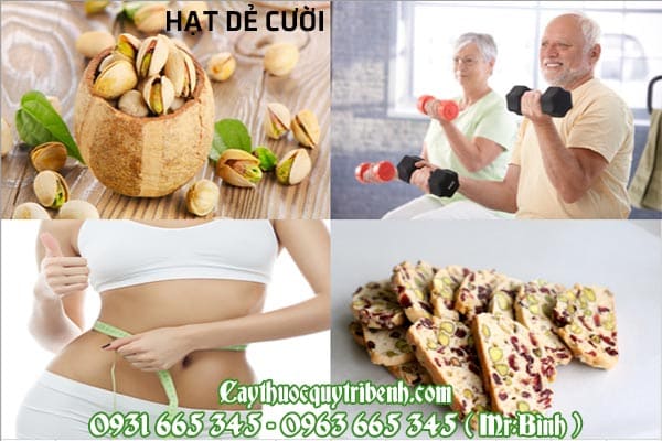 Hạt Dẻ Cười 100GRAM Hàng Cao Cấp - Đông Y Thanh Bình
