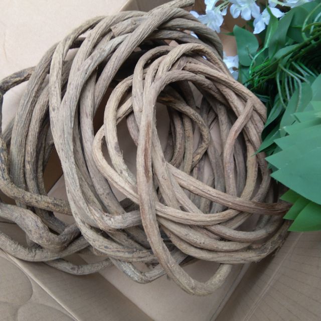 Dây rừng,(4met) dây leo tự nhiên trang trí