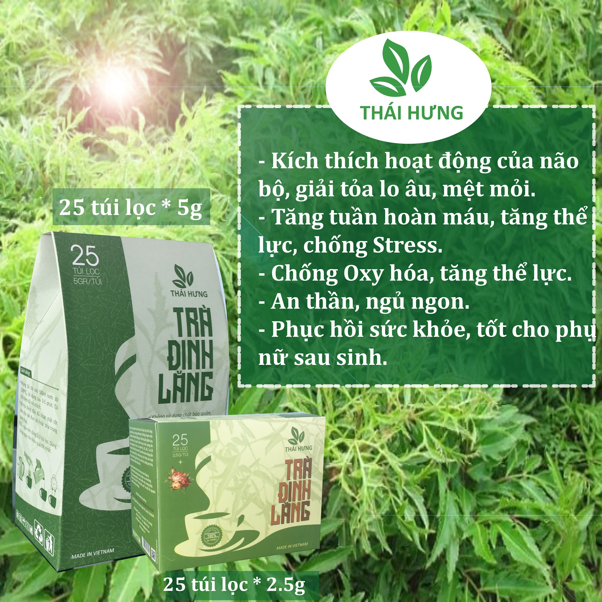 Trà Đinh Lăng An Thái Hưng (trà thảo mộc, 100% tự nhiên - không chất bảo quản - dạng túi)