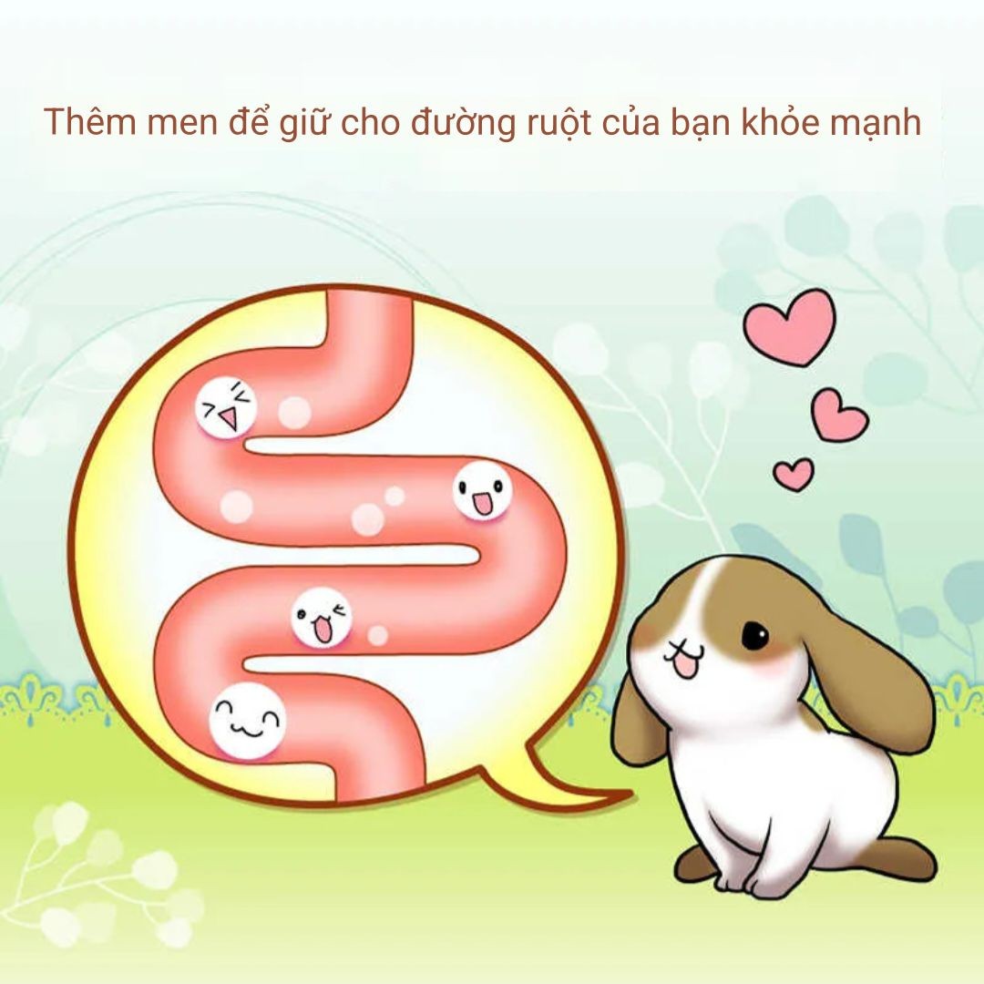 Cỏ nén giàu Xơ Cho Thỏ