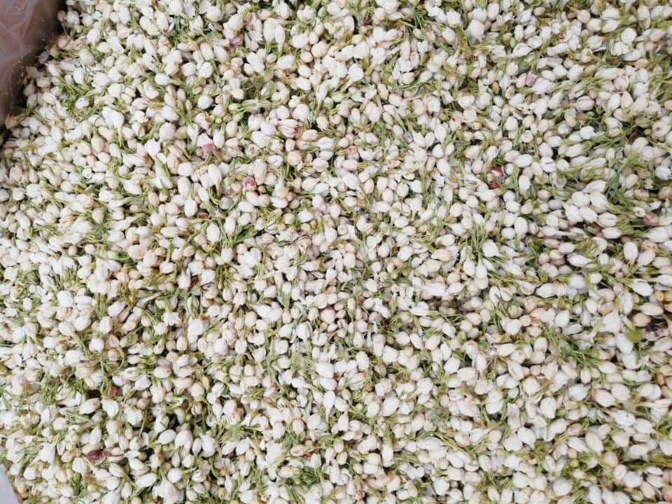 Hoa Nhài - Hoa Lài (Nụ trắng, thơm, đẹp) 100g