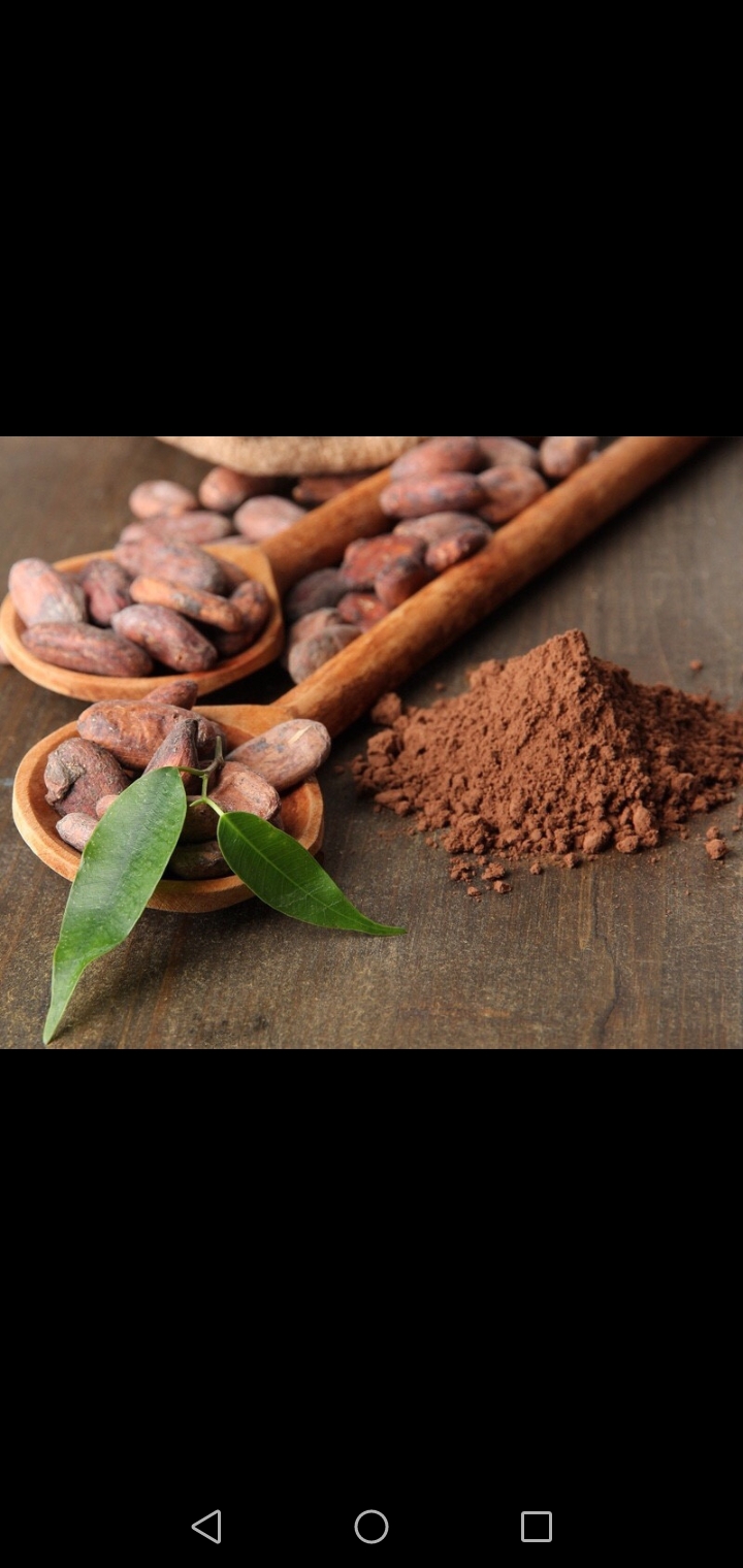 [HCM]Bột Cacao Nguyên Chất Đắk Lắk 100%