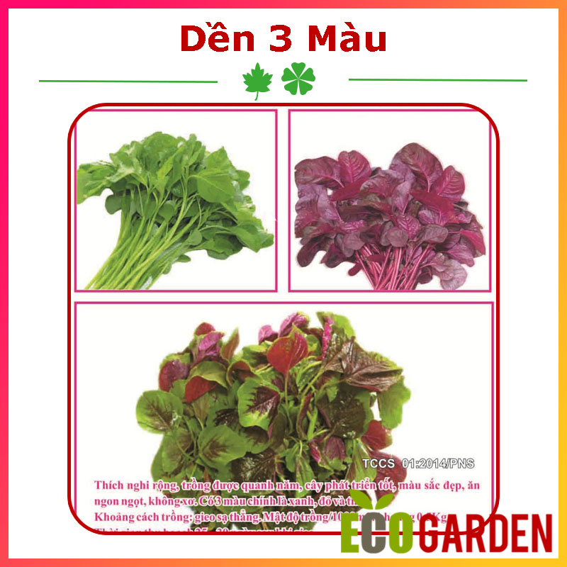 Hạt Giống Rau Dền Ba Màu 20 Gam (ECO.143)