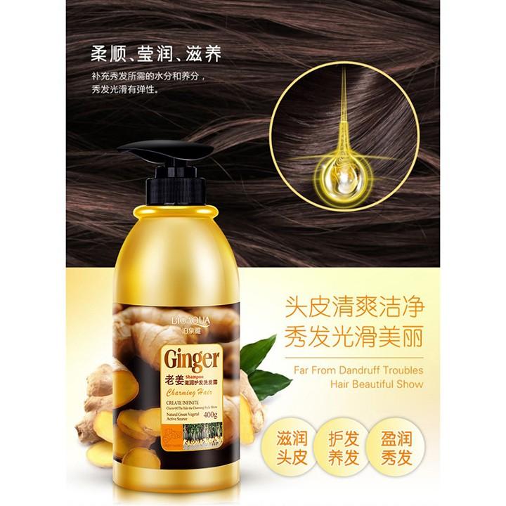 Dầu gội gừng Ginger 400ml