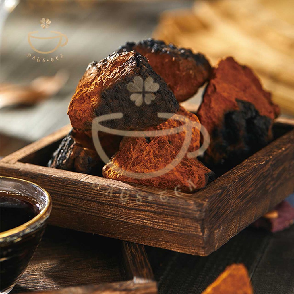 NẤM CHAGA 100G