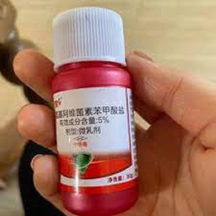 COMBO PHÒNG VÀ TRỊ TRĨ NHỆN TRUNG QUỐC HIỆU QUẢ CAO