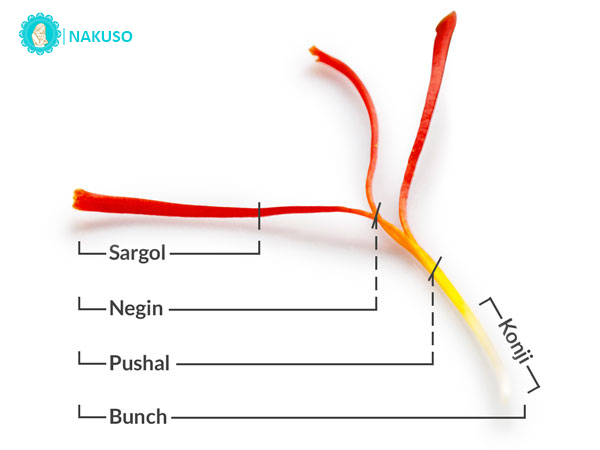 Combo 10 hộp saffron Super Negin giá sỉ (1gr/hộp)