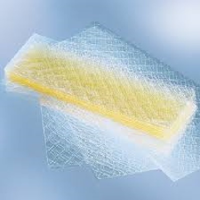 EWALD GELATINE dạng lá